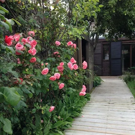 5 Rue De La Corderie غرانفيل